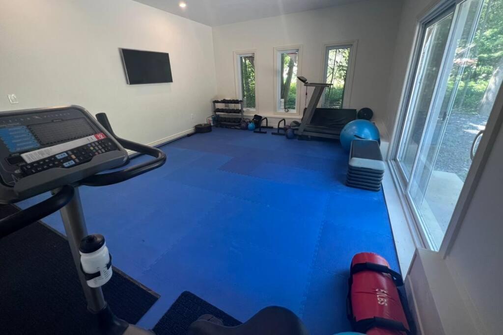 Bluebird Sanctuary - Howe island Luxury Retreat