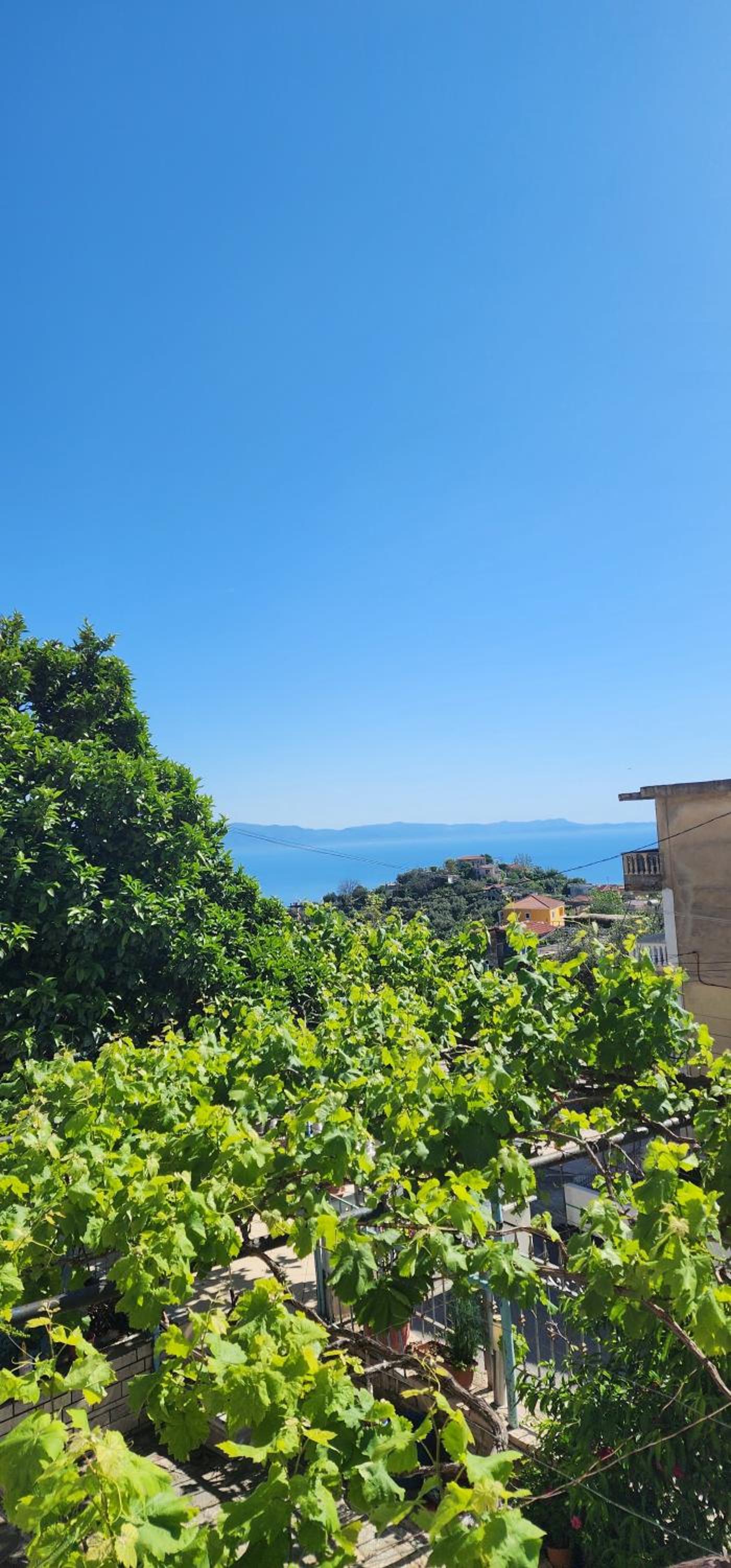 Villa Bianca1