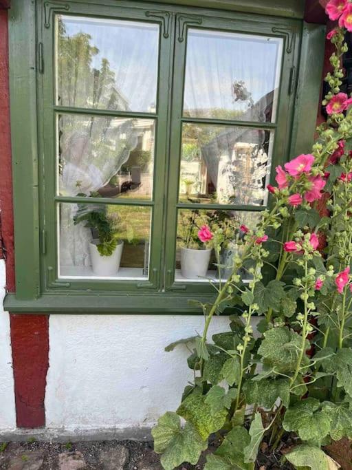 Guesthouse by the sea