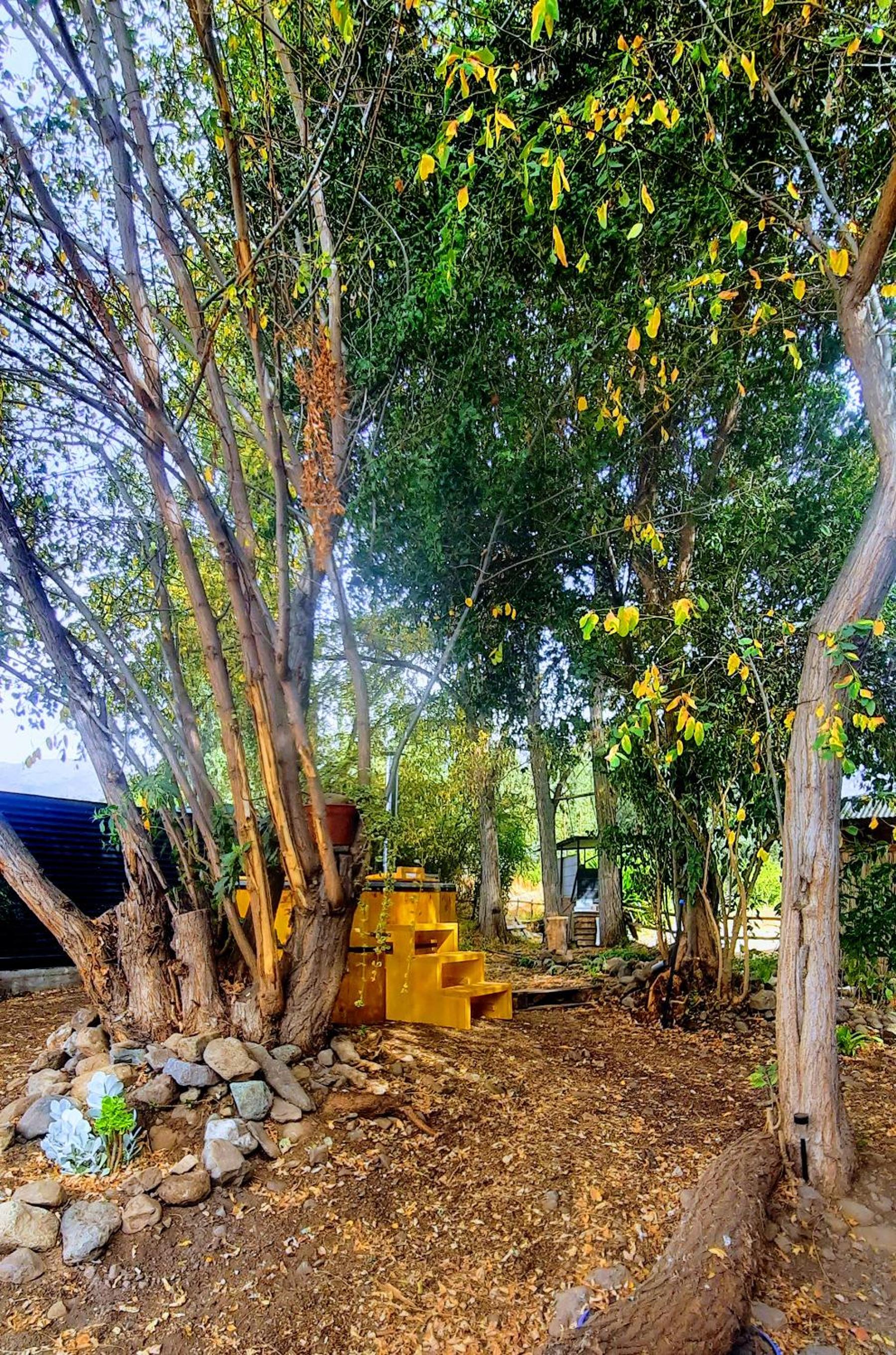 Lodge Rincon Nativo