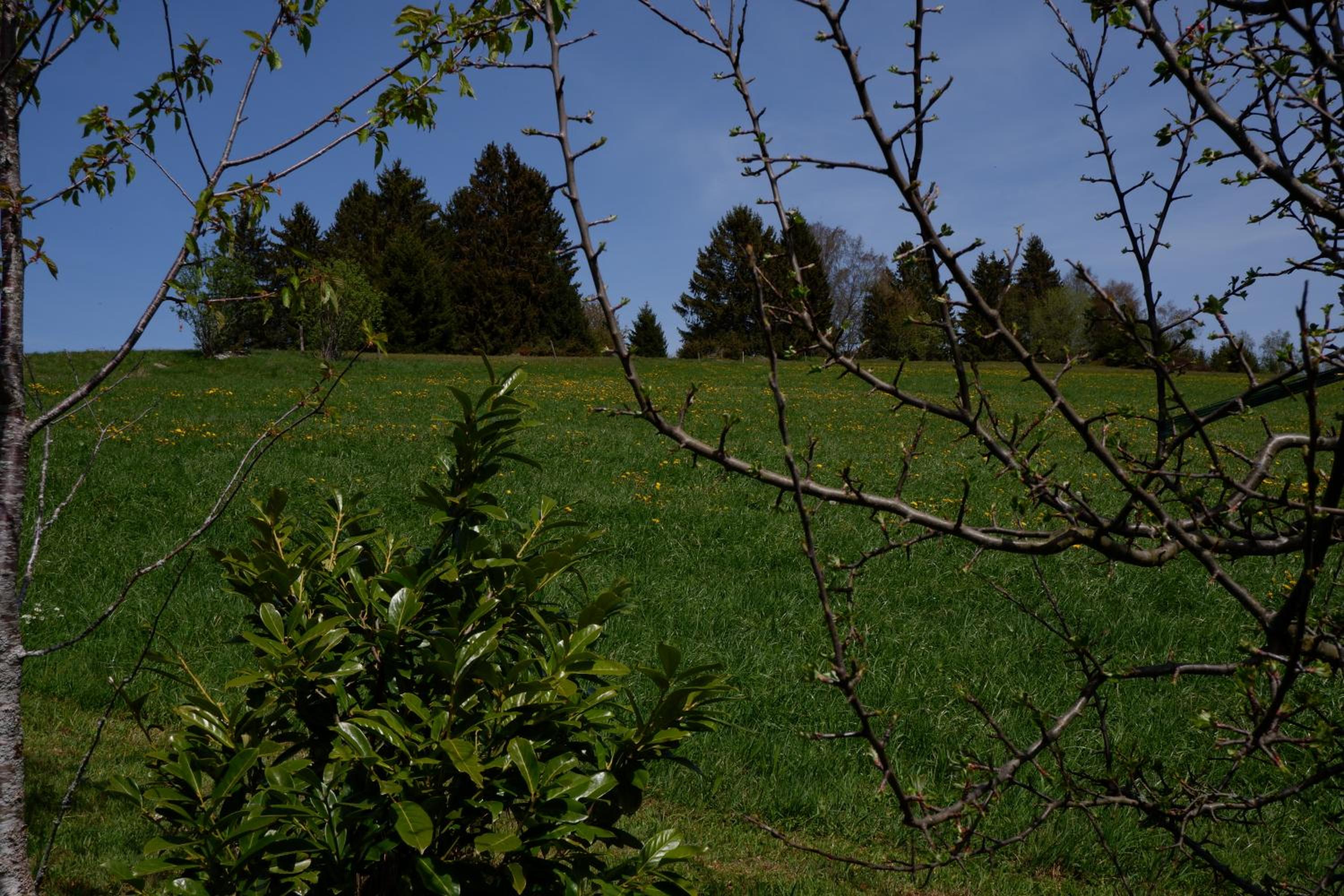 Haus Lichtblick