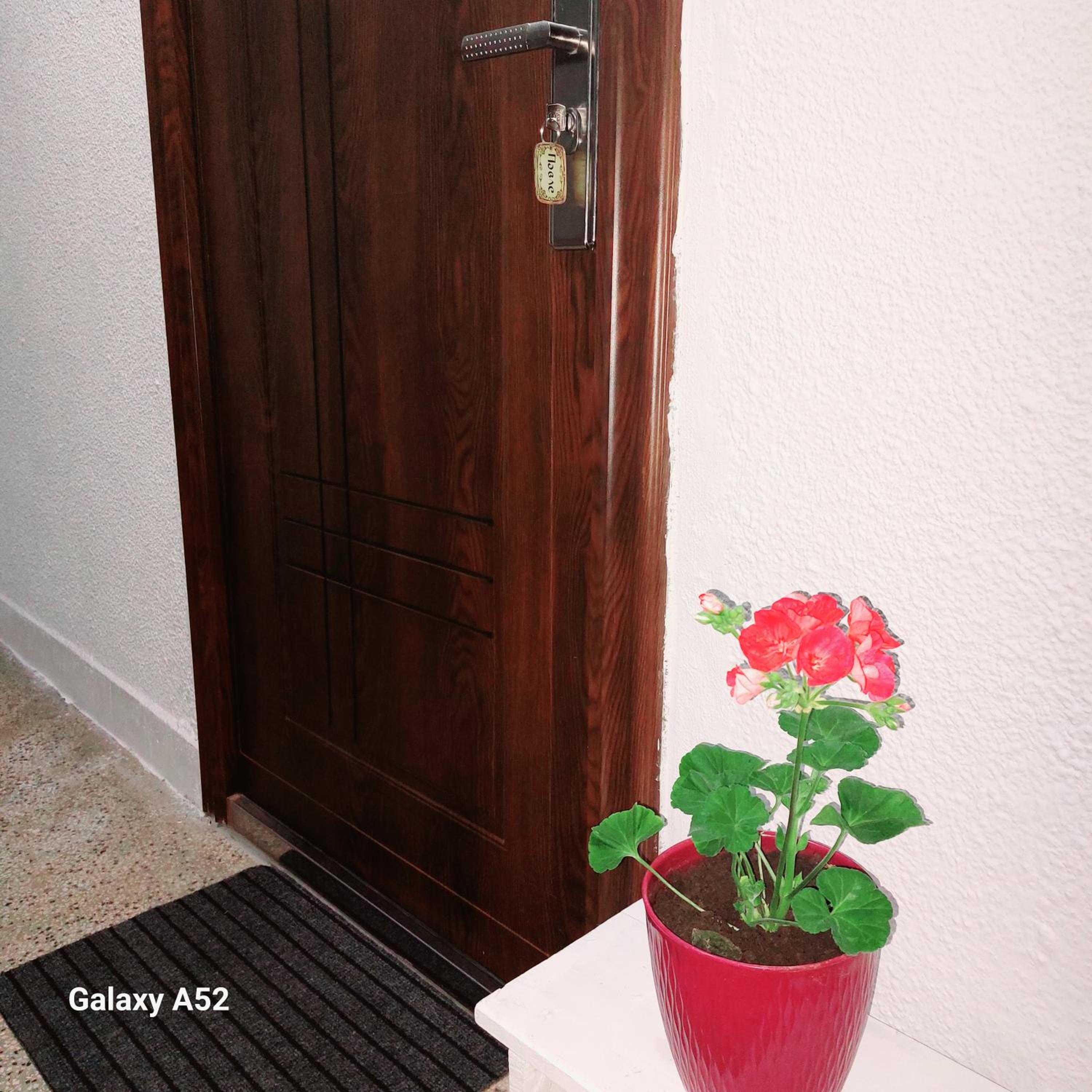 Apartman PAVLE