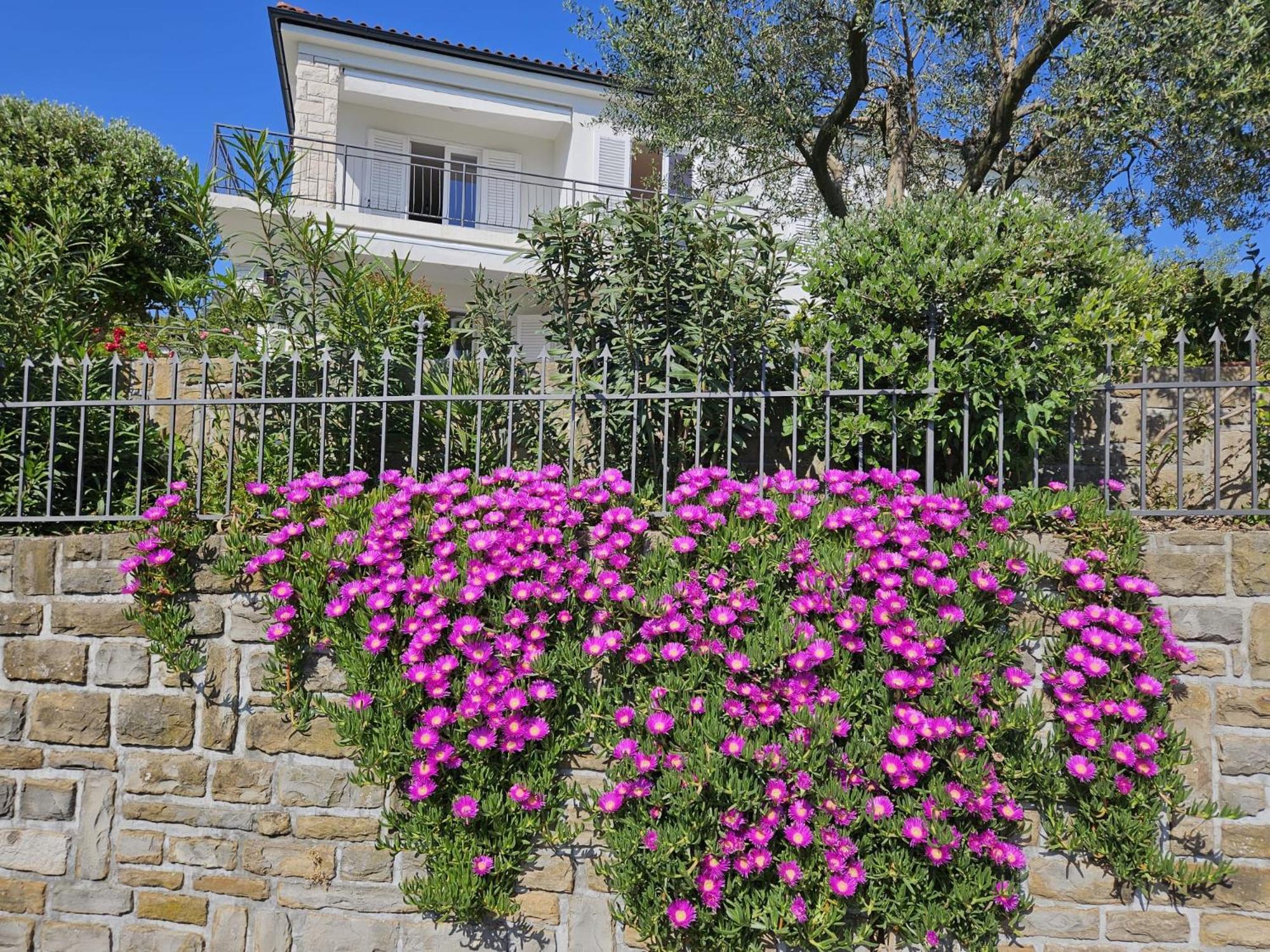 Apartment Solare