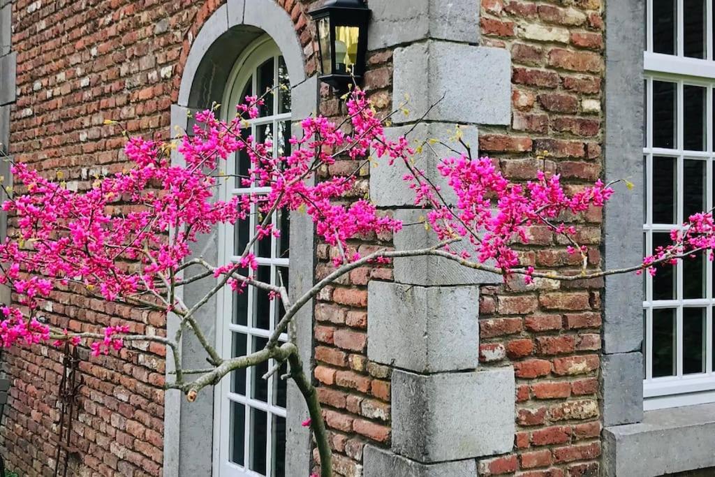 La réserve by la Villa KerKus
