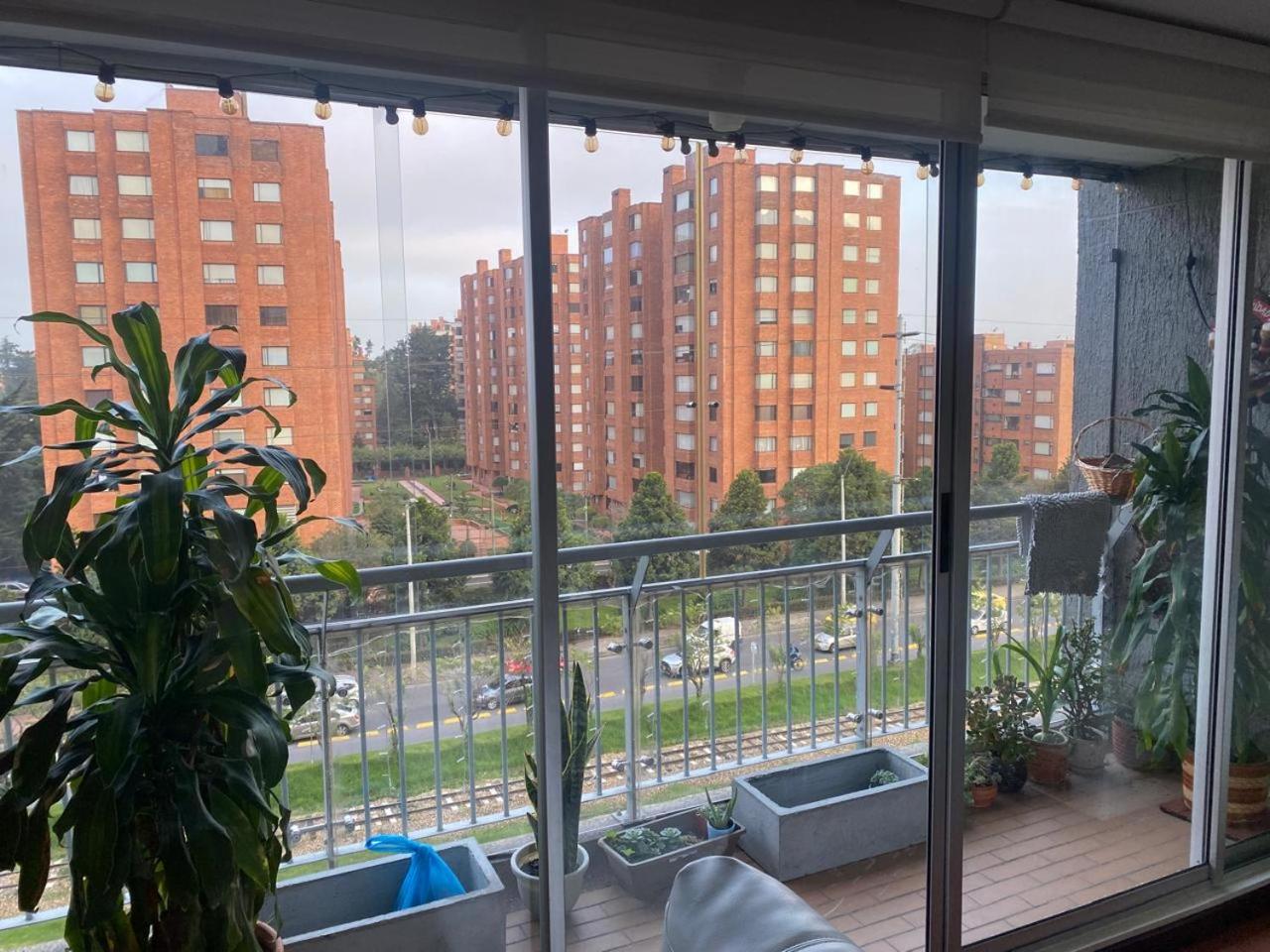 Habitación el Bosque