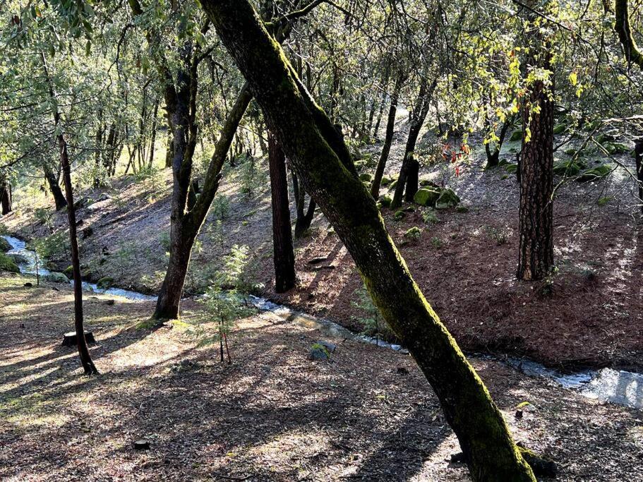 Sierra Summer House by Yosemite view 2