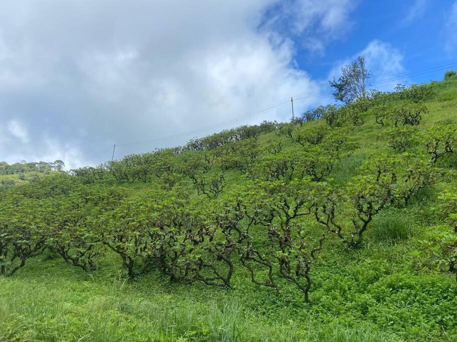 Fazenda São Lourenço na Serra da Mantiqueira