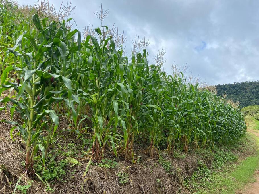 Fazenda São Lourenço na Serra da Mantiqueira