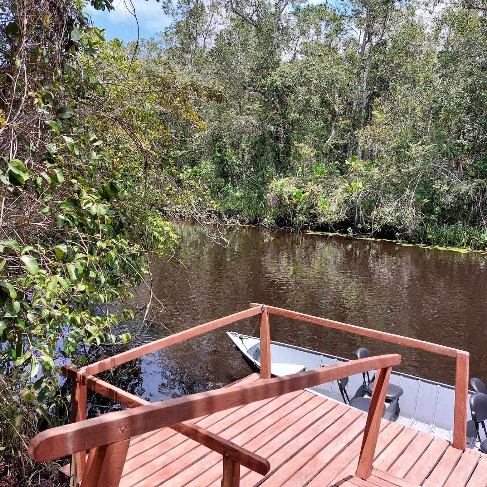 Photo 65