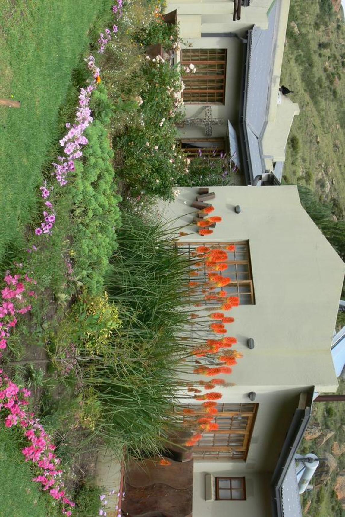 Photo 32