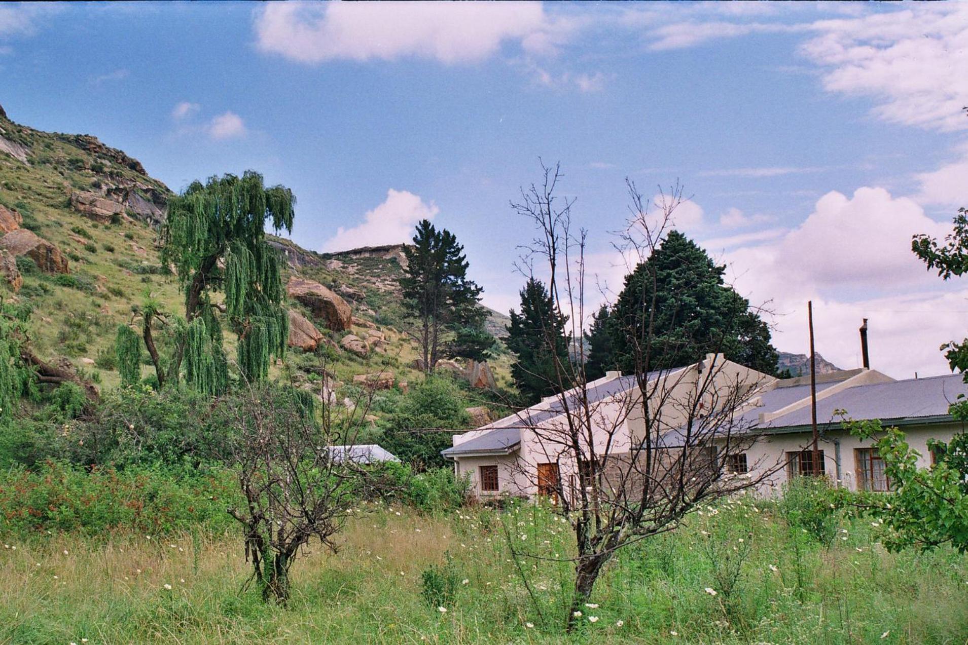 Aspen Guest House view 3