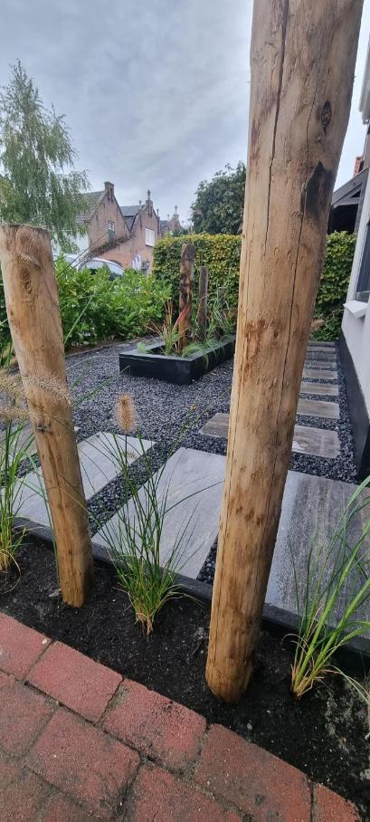 Photo 38