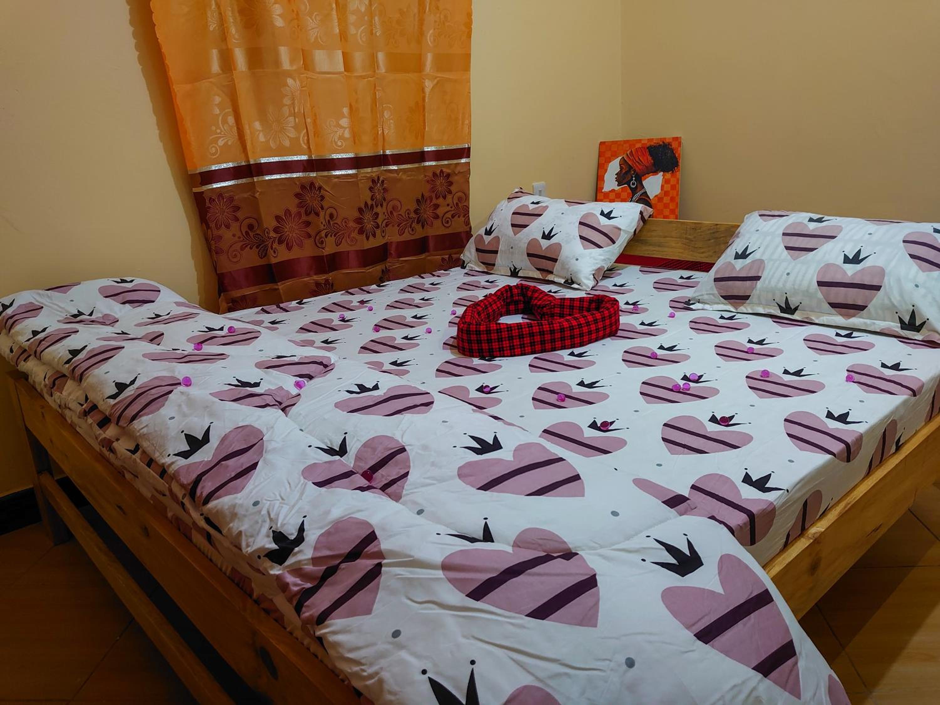 Kili House Hostel view 4