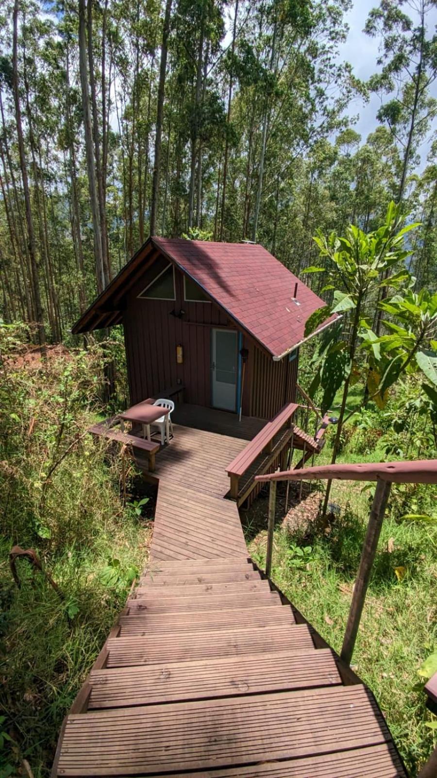 La Esperanza bird Lodge and Reserve