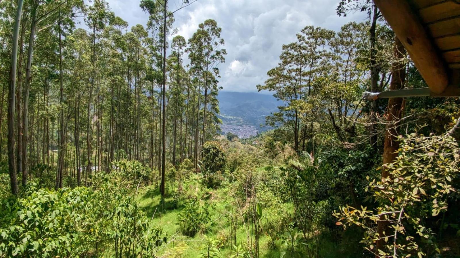La Esperanza bird Lodge and Reserve