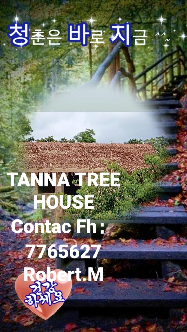 Tanna tree house and bangalows view 4