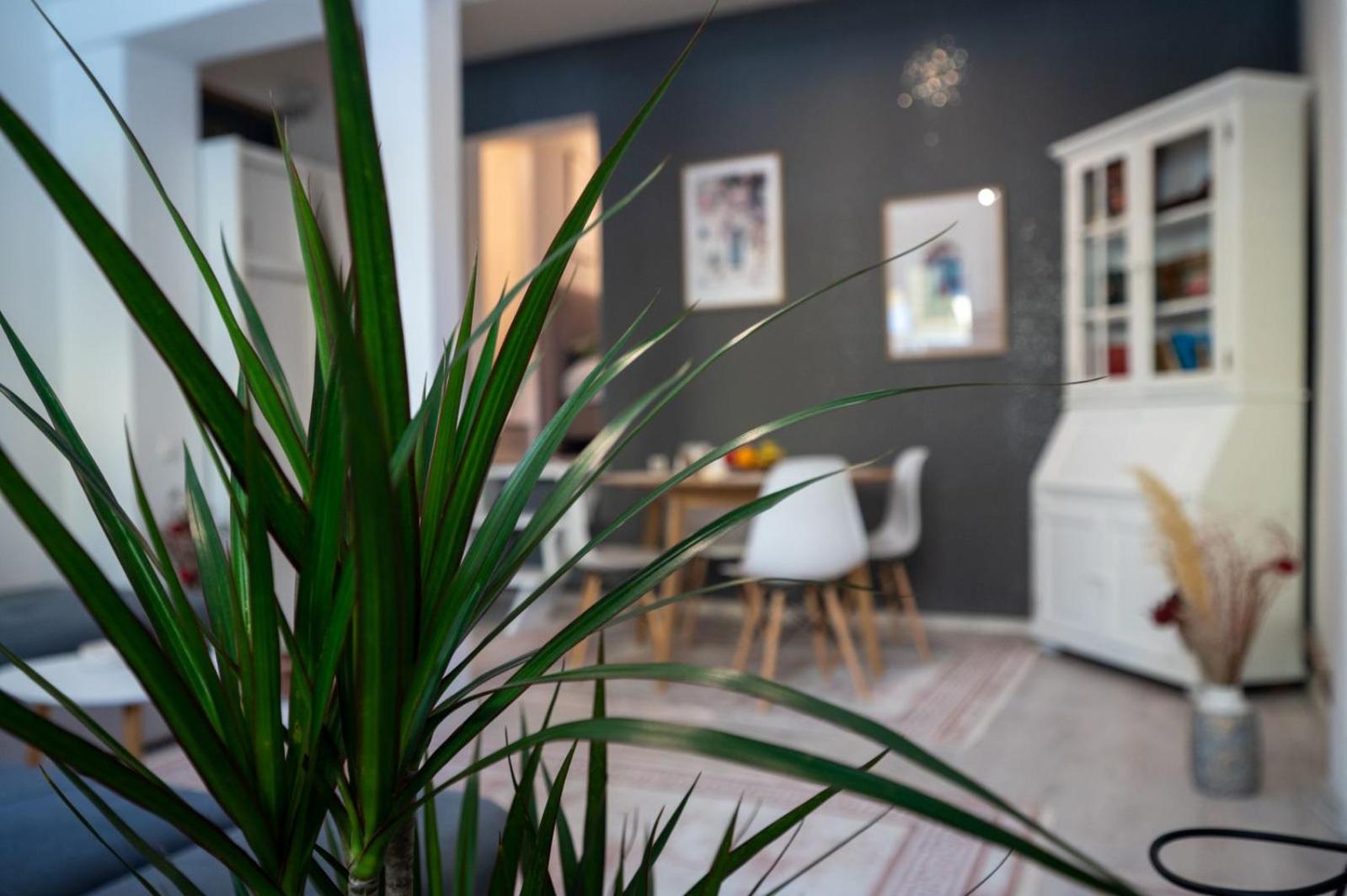 Apartman Miljacka