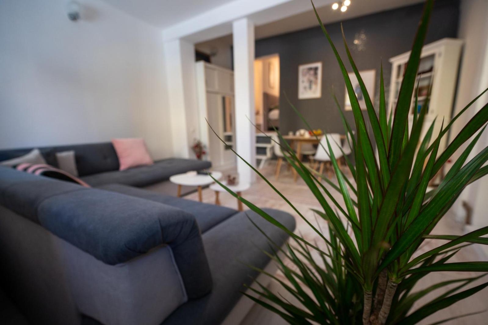 Apartman Miljacka