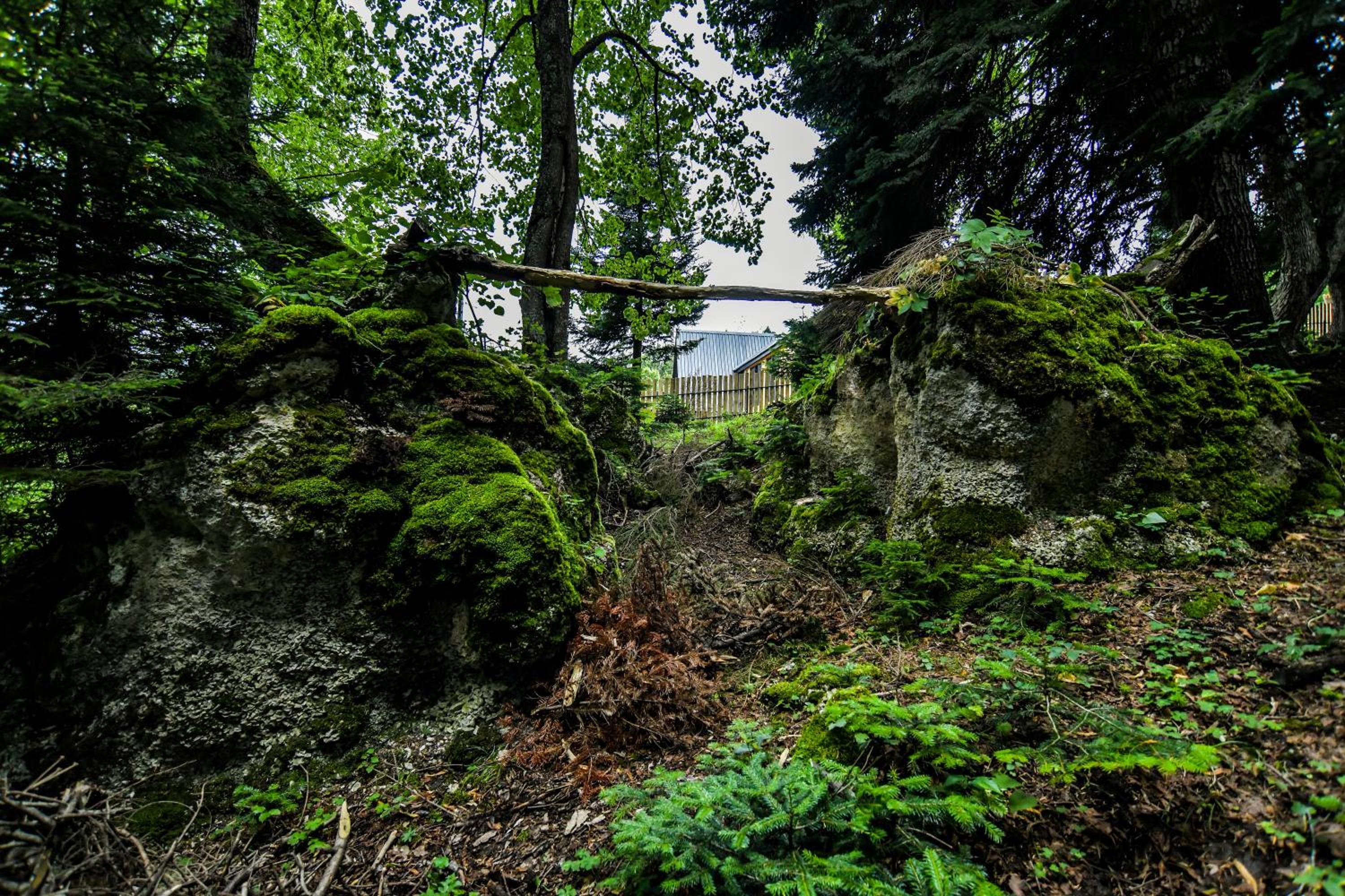 Cottage Mebirashi
