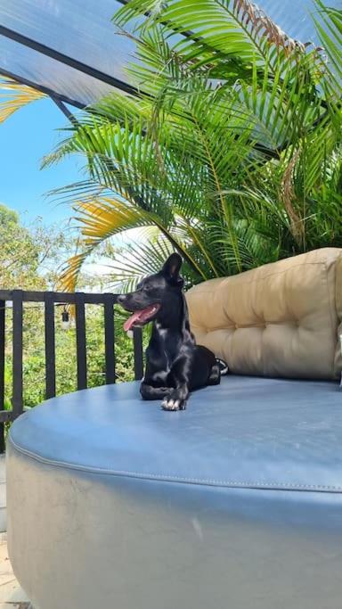 Casa para relaxar, estilosa, privativa e pet friendly