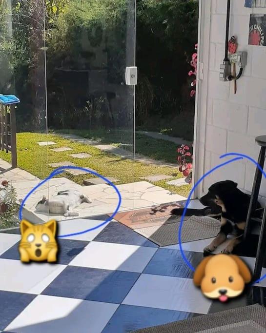 Casa para relaxar, estilosa, privativa e pet friendly