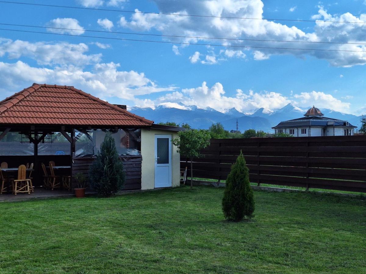 Pensiunea Daria, photo 26