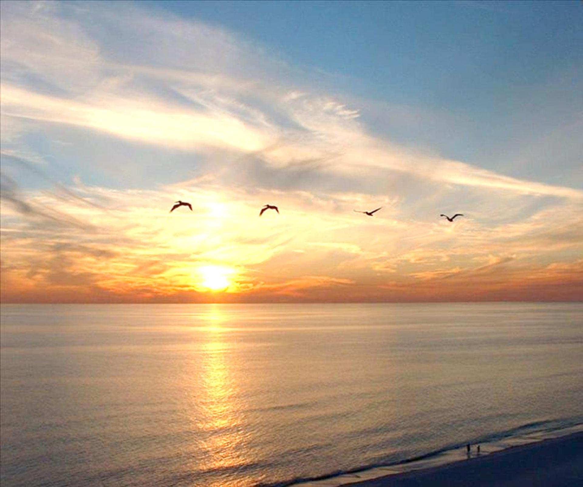 Boardwalk 0810 'Endless Summer' view 5