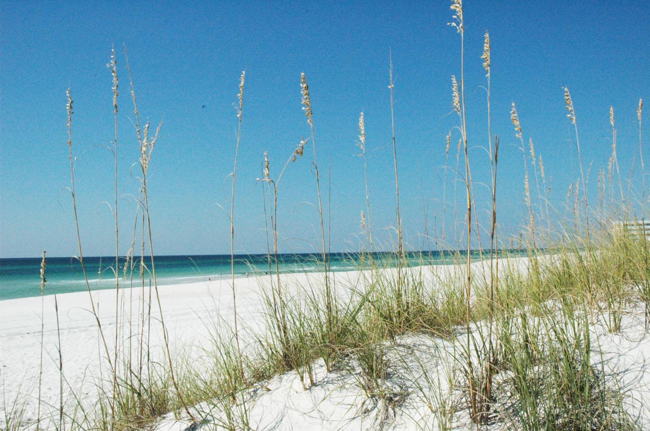 Boardwalk 0810 'Endless Summer' view 4