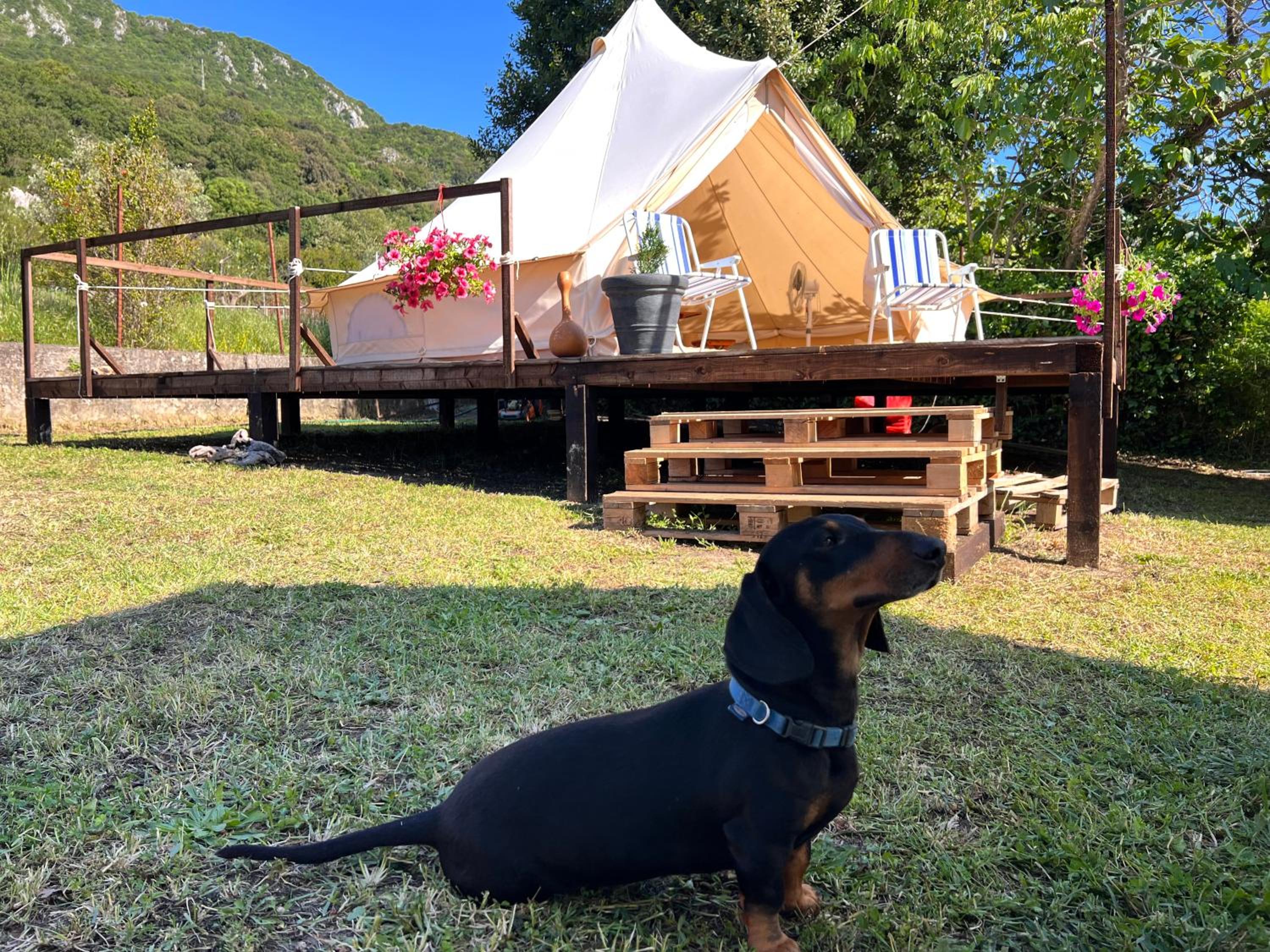 Tranquil Tent Retreat Glamping