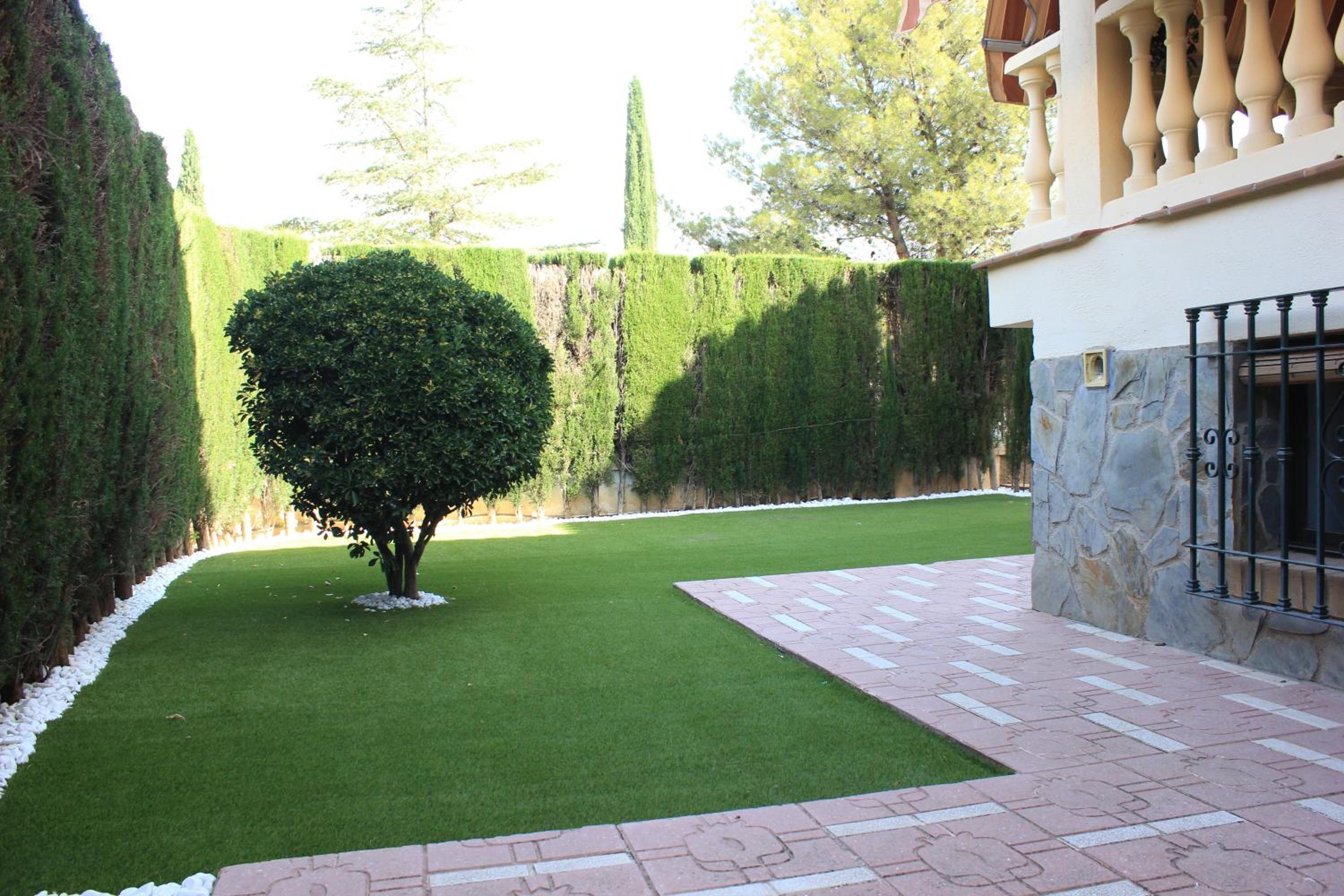 Photo 6