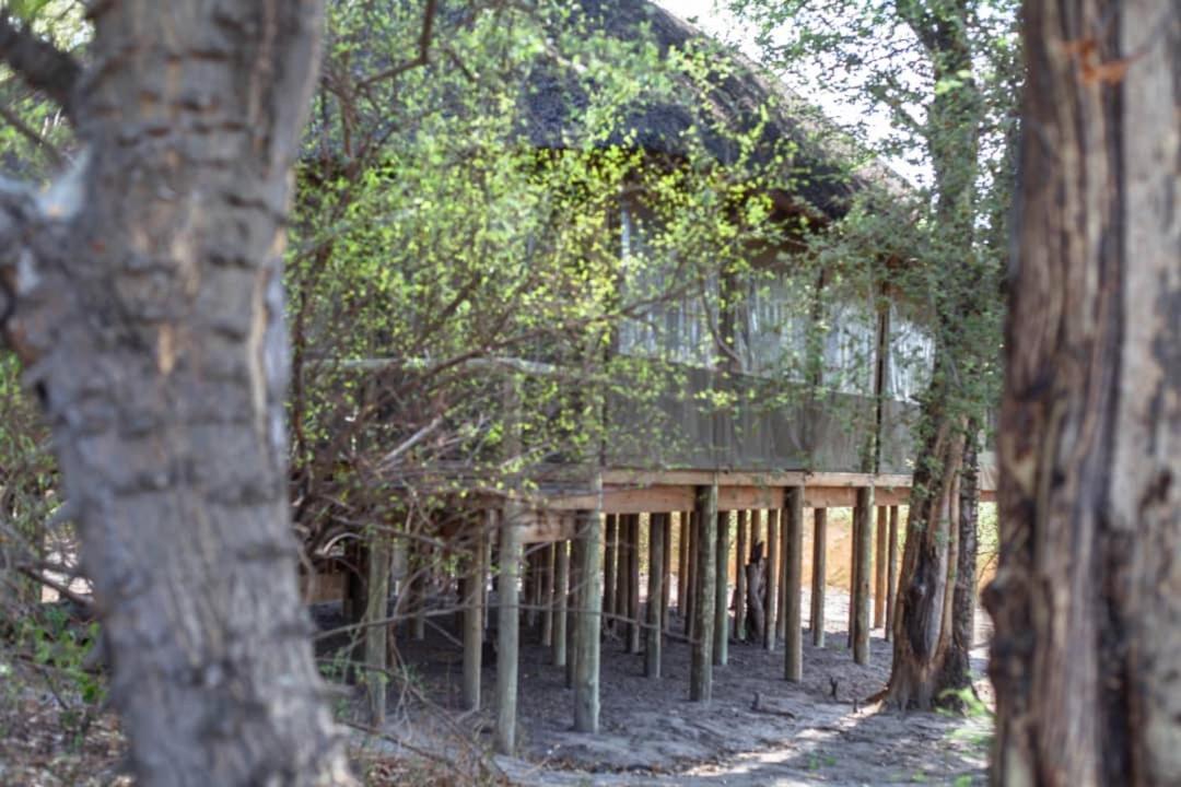 Hyenas Howl Cabins & Campground