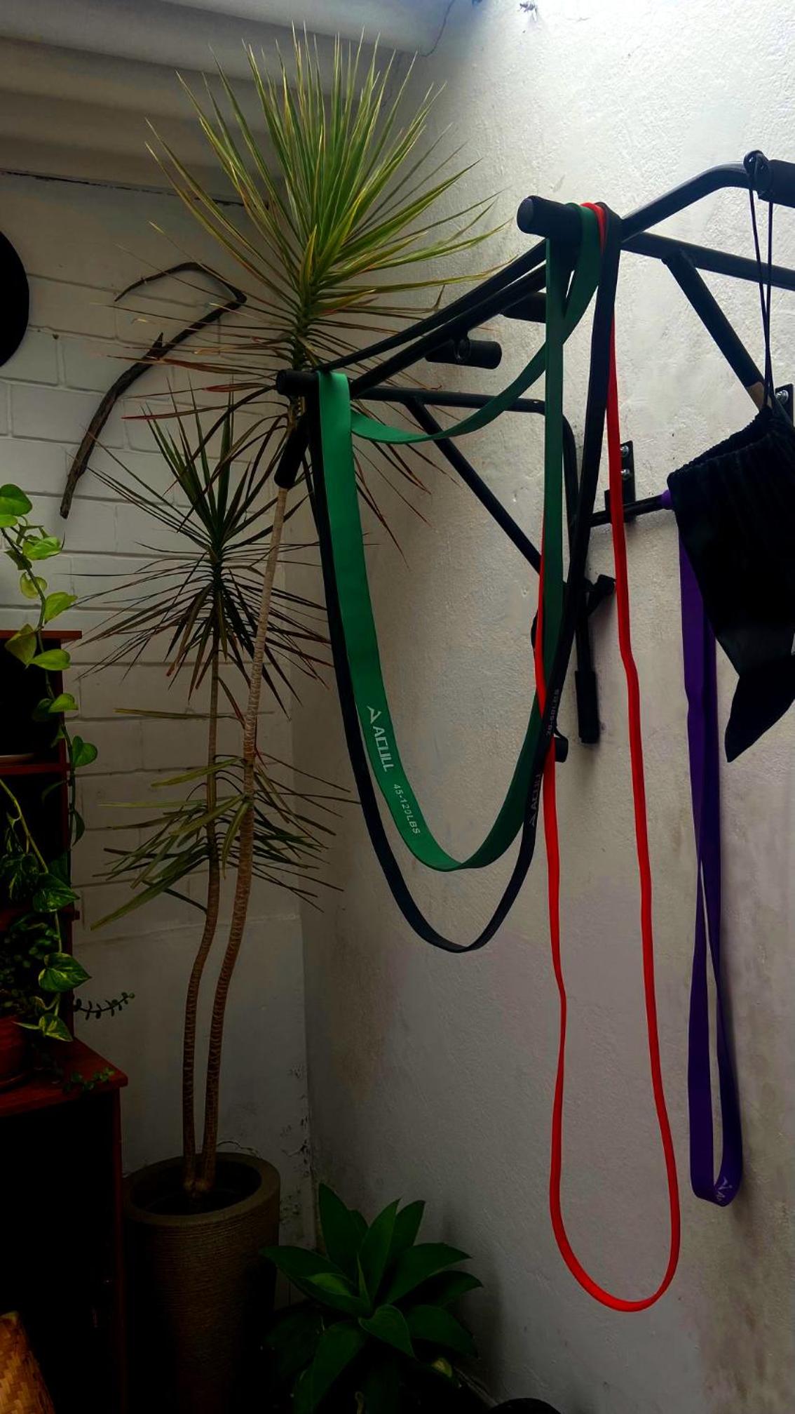 Javiland Coliving