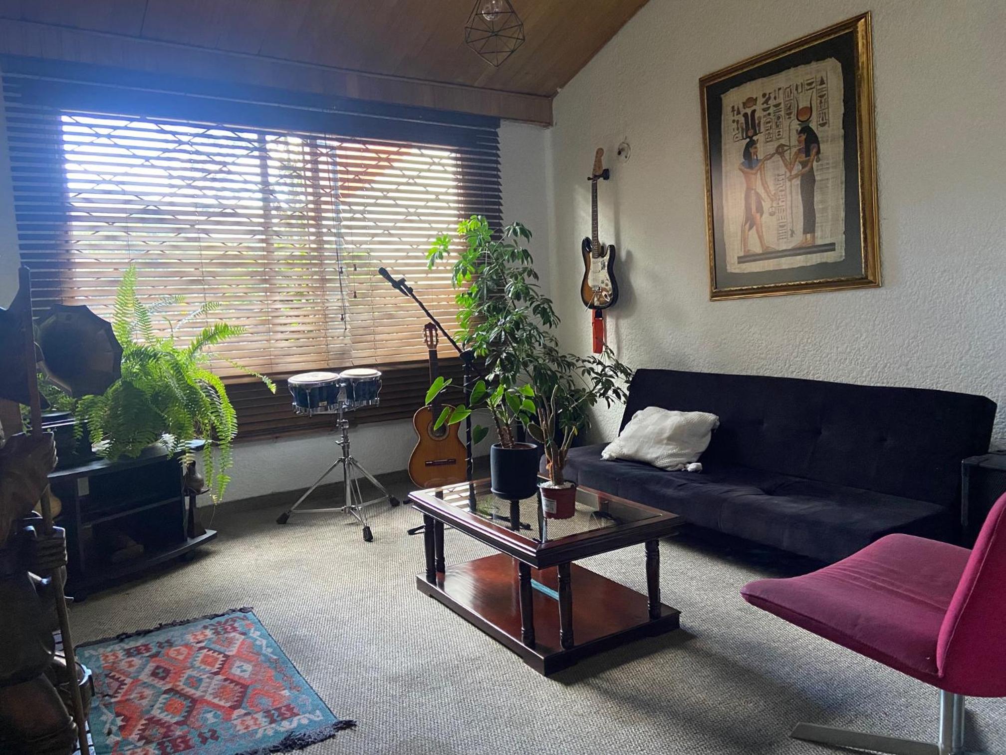 Javiland Coliving