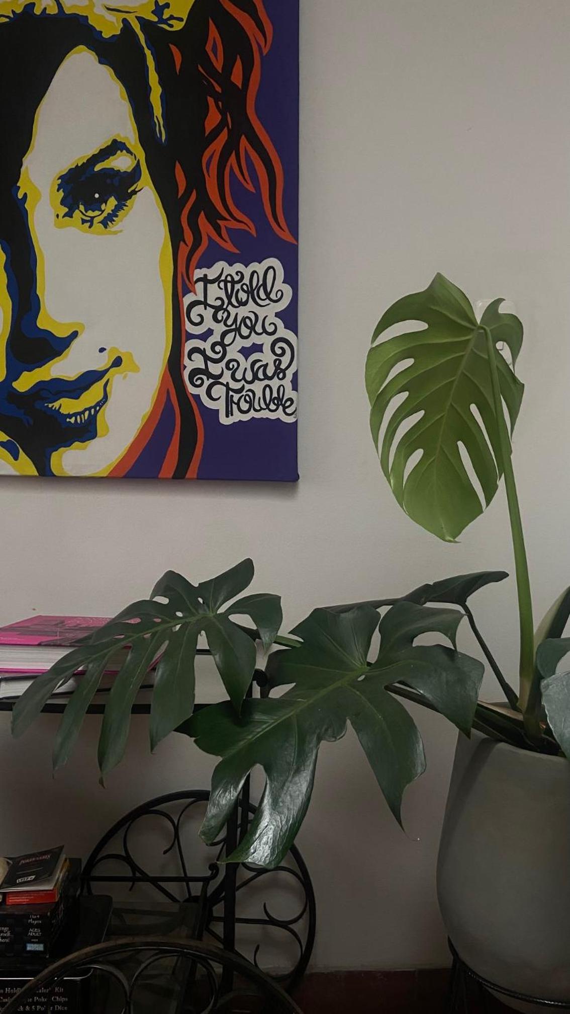 Javiland Coliving
