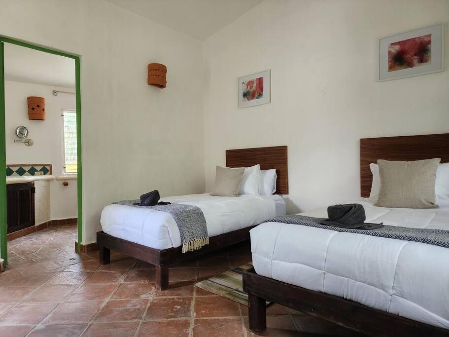 Playacar Family house private pool and surrounded by nature view 3