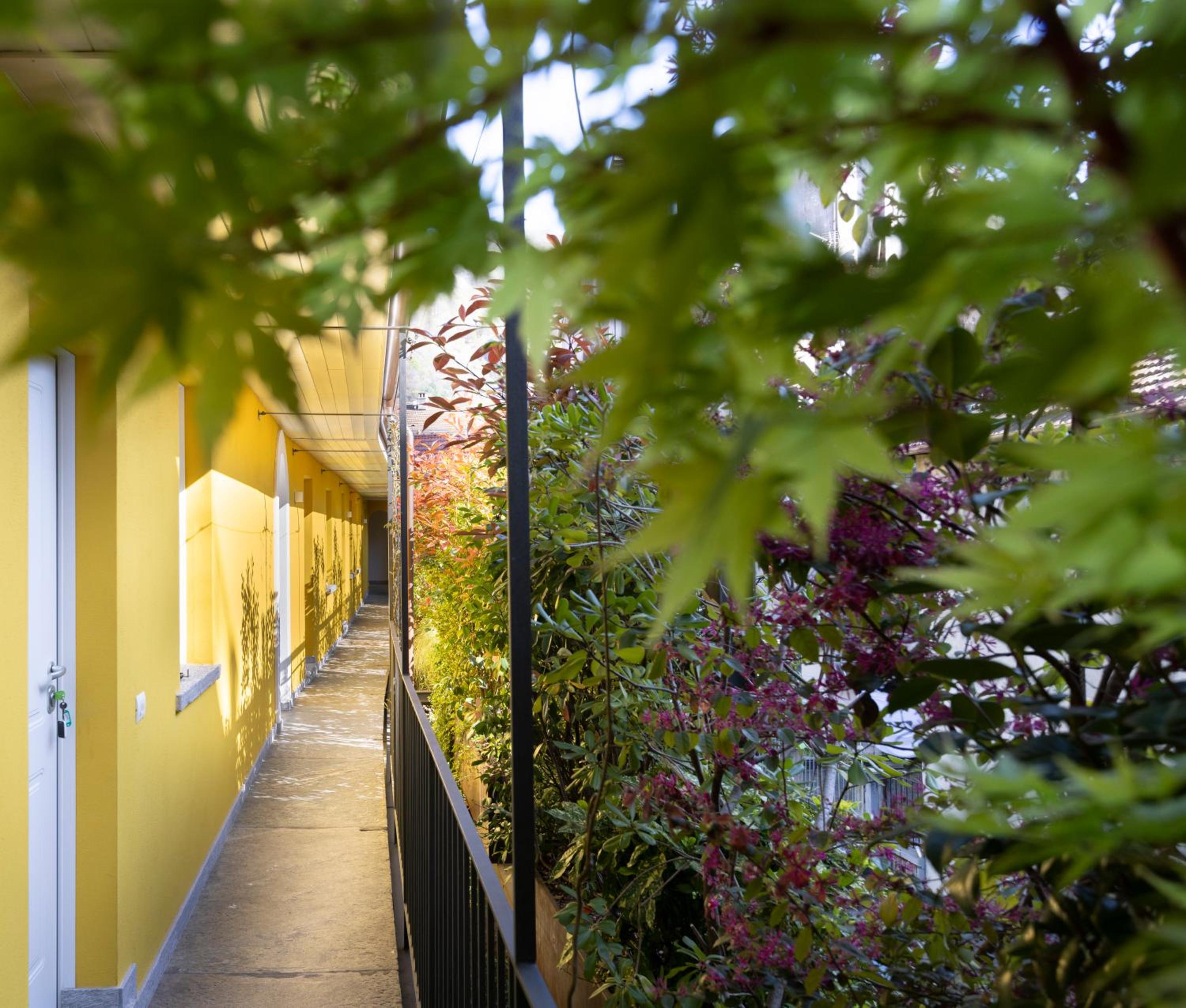 Residence Casa Coppa Appartamento Ivy photo 4