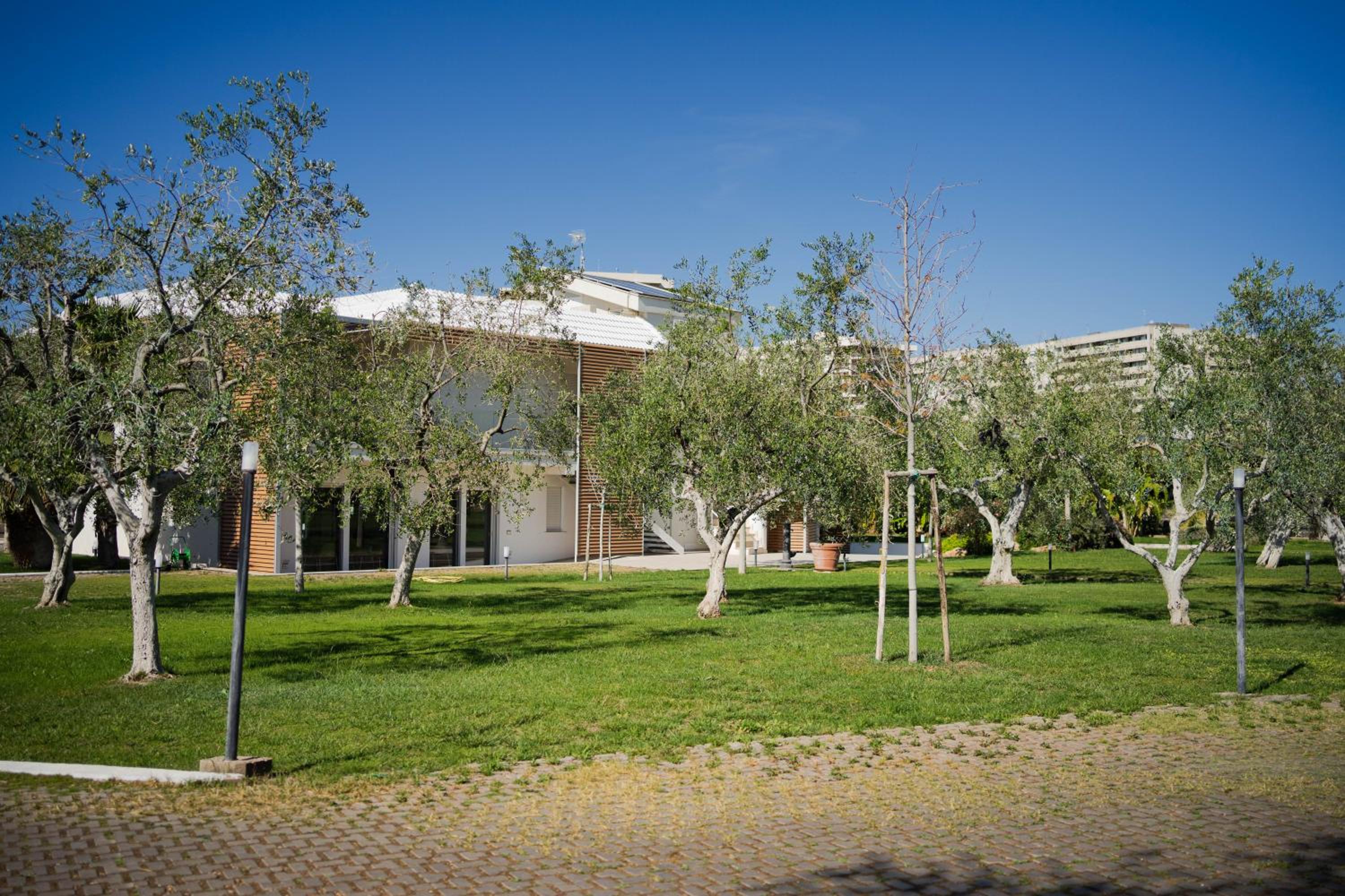 Photo 47