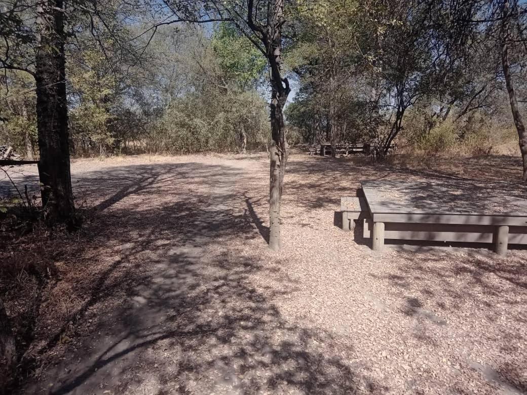 Hyenas howl campsite