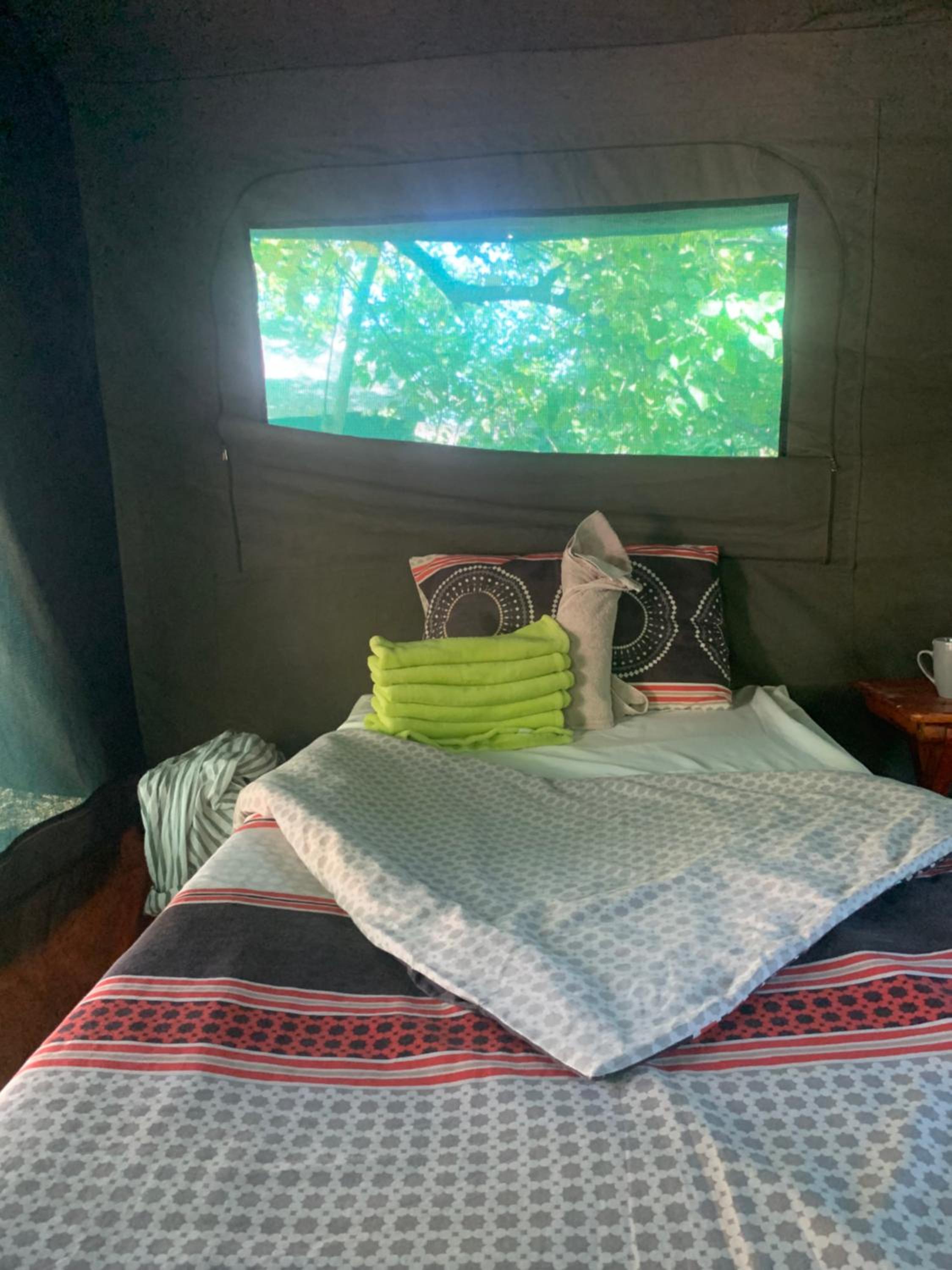 Hyenas howl campsite