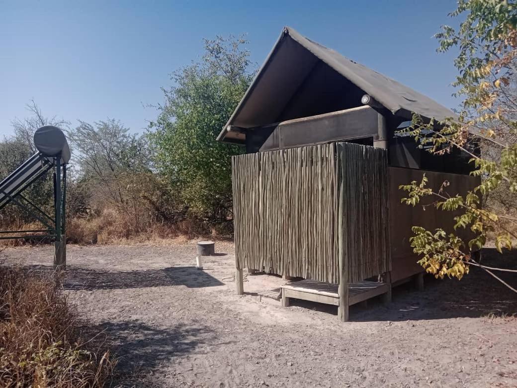 Hyenas howl campsite