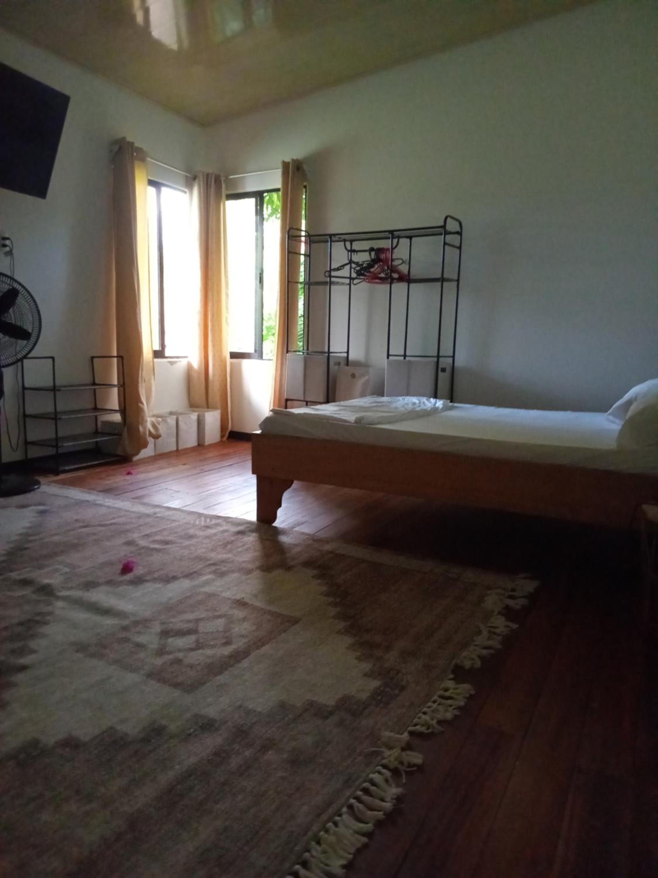 Casa palmera