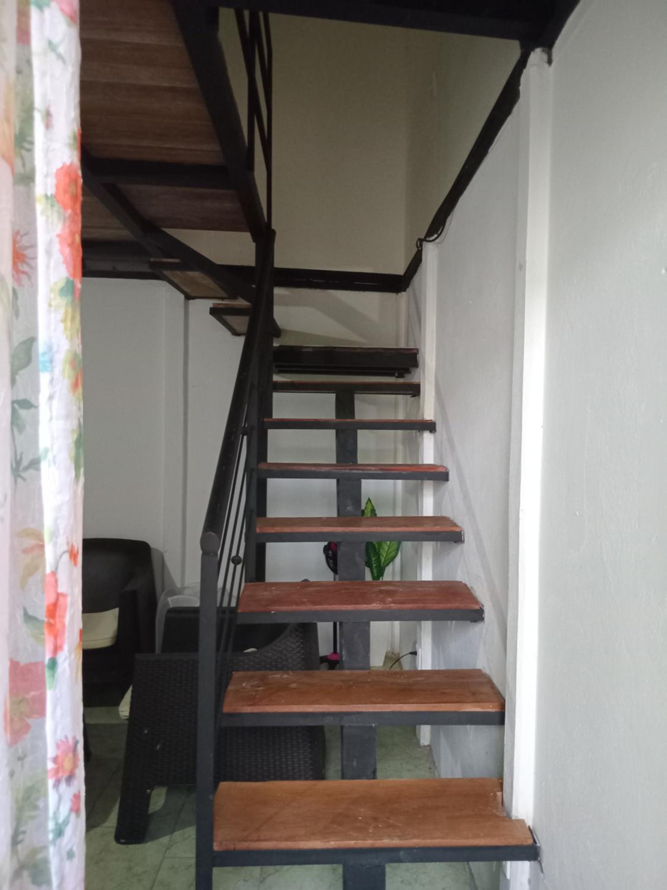 Casa palmera