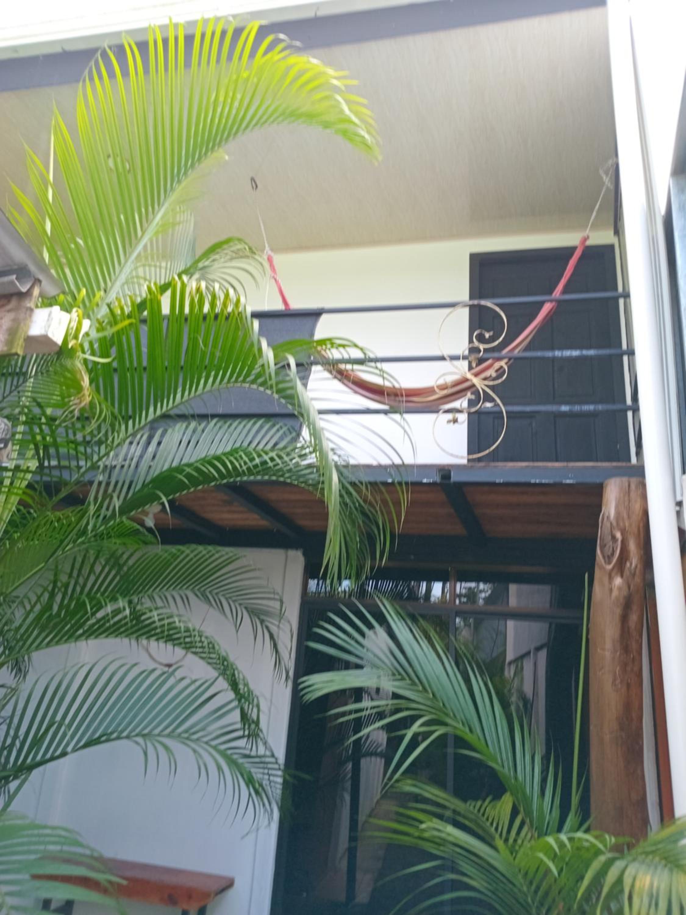 Casa palmera