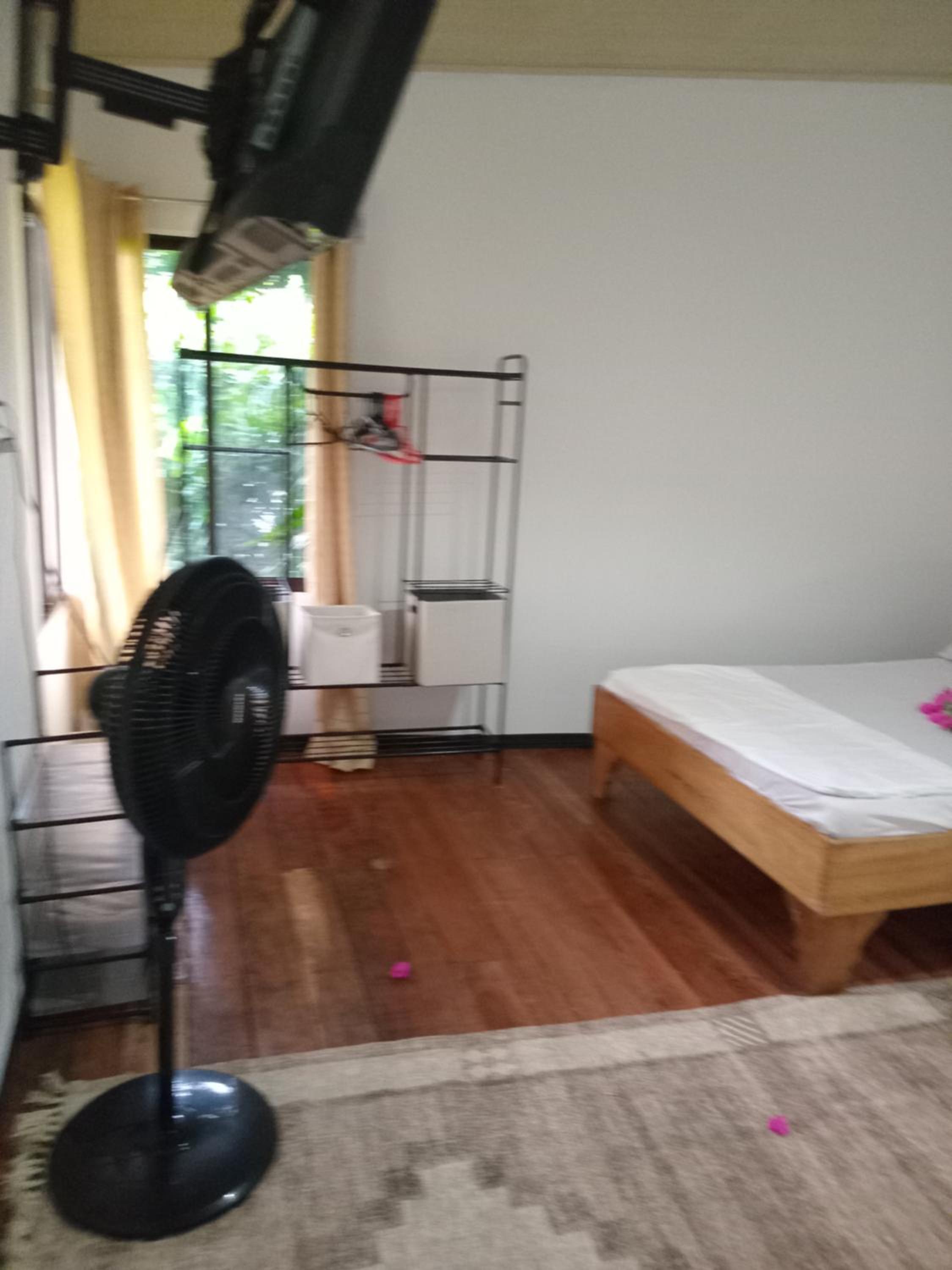 Casa palmera
