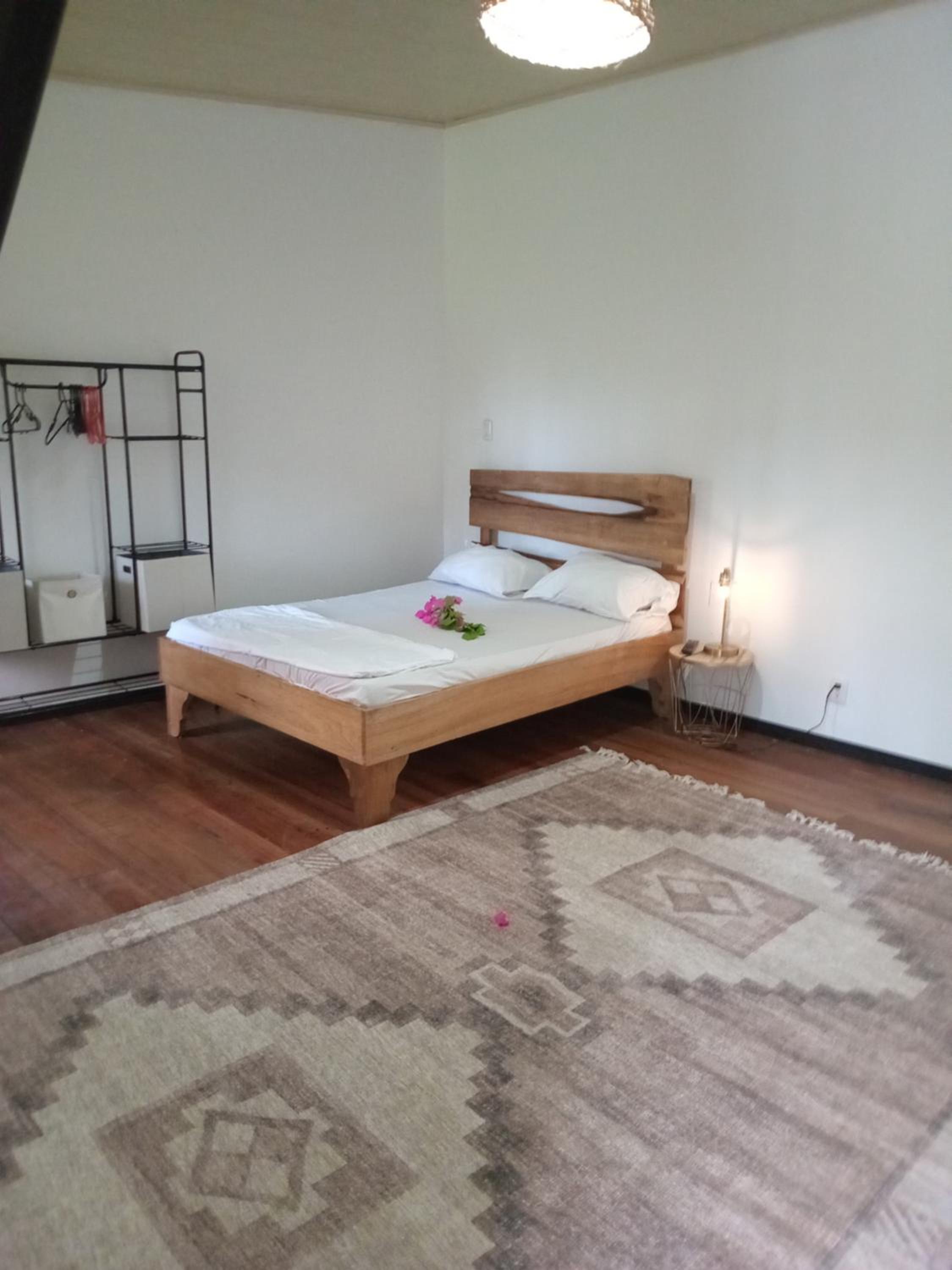 Casa palmera