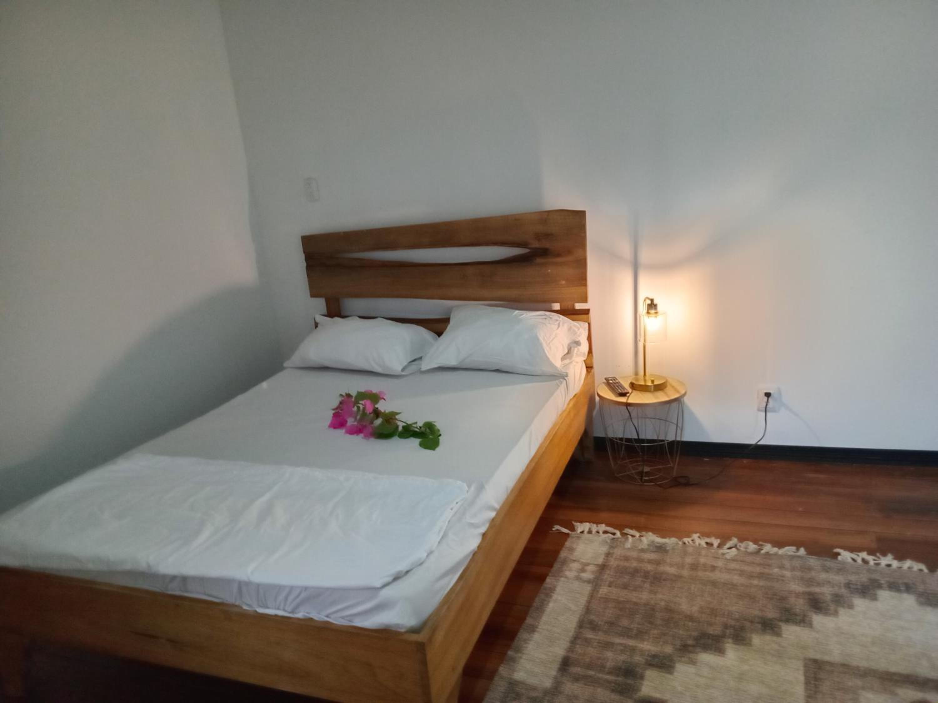Casa palmera