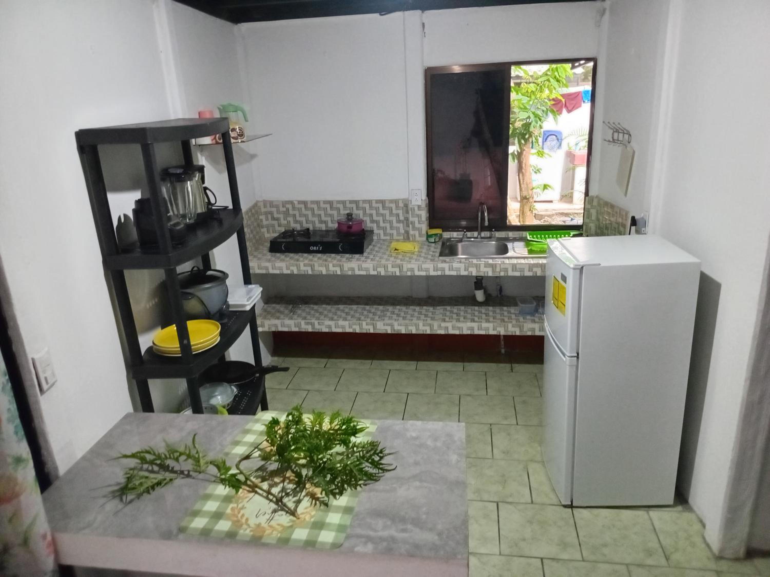 Casa palmera