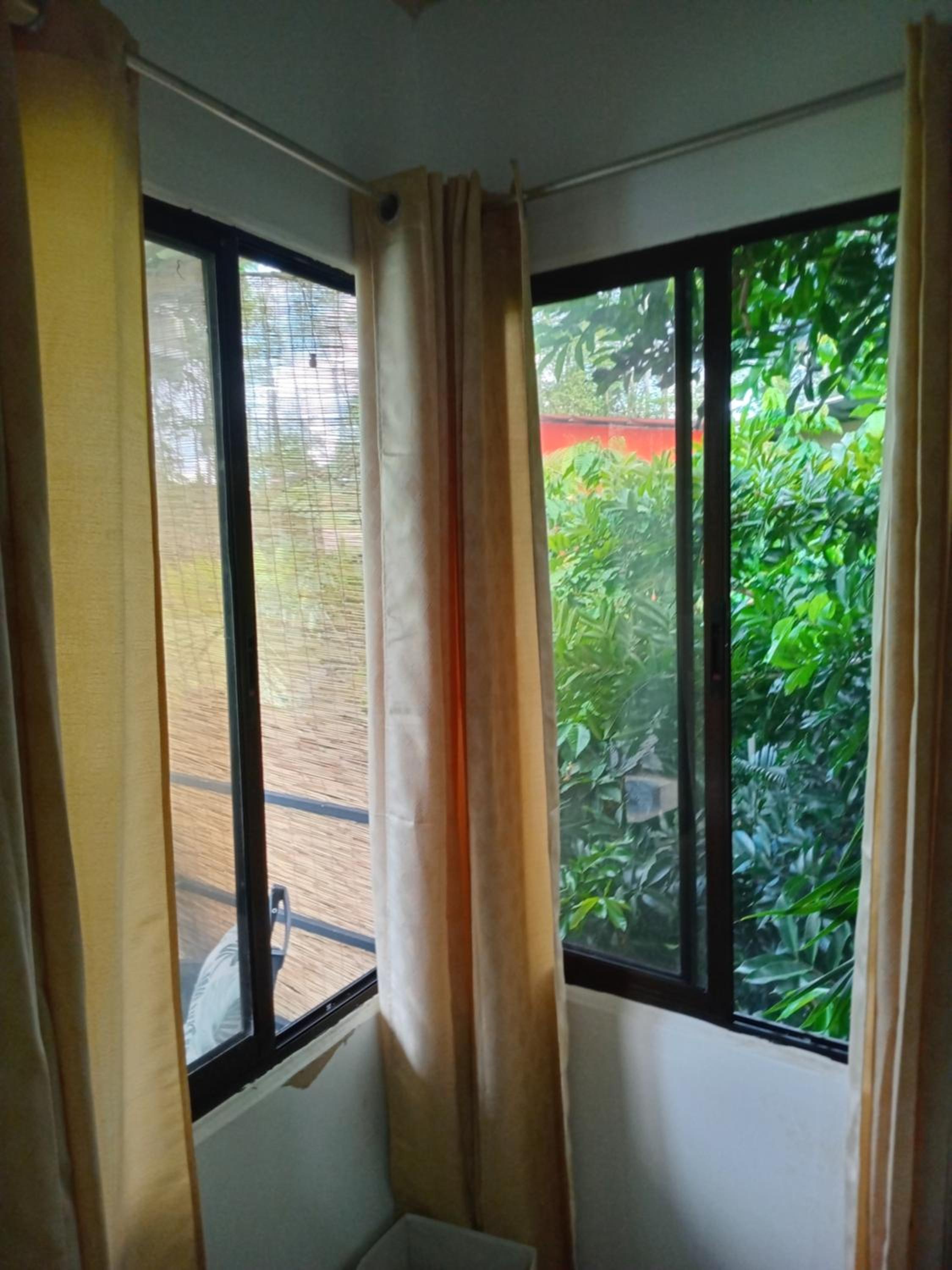Casa palmera