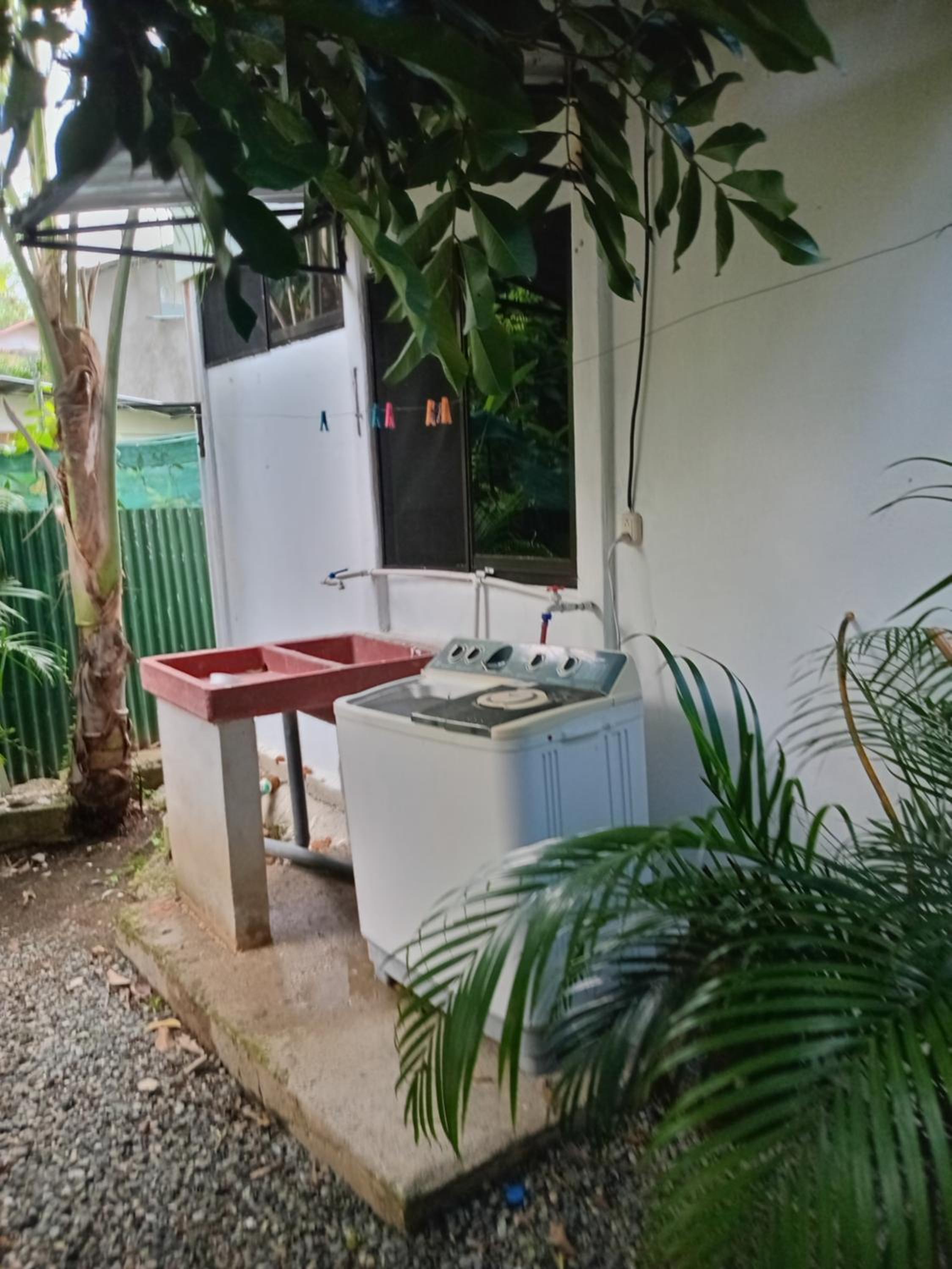 Casa palmera