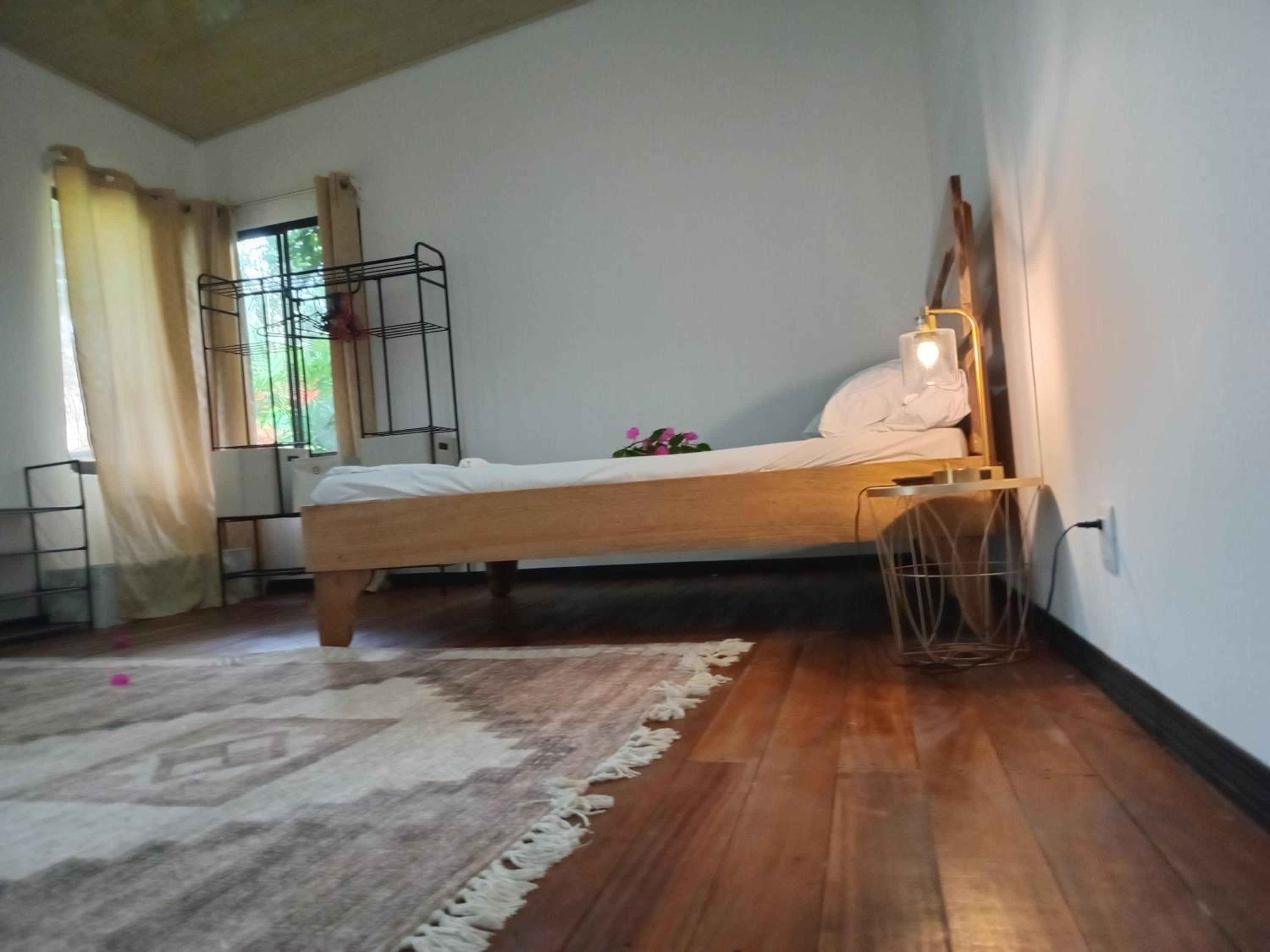 Casa palmera